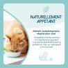 CardiaCat - Cardiovascular support for cats - Lore & Science
